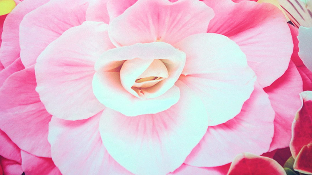 ธงชายหาด, ธงใบมีด, ธงปีกนก, ธงผ้า, ธงญี่ปุ่น, Outdoor Flag